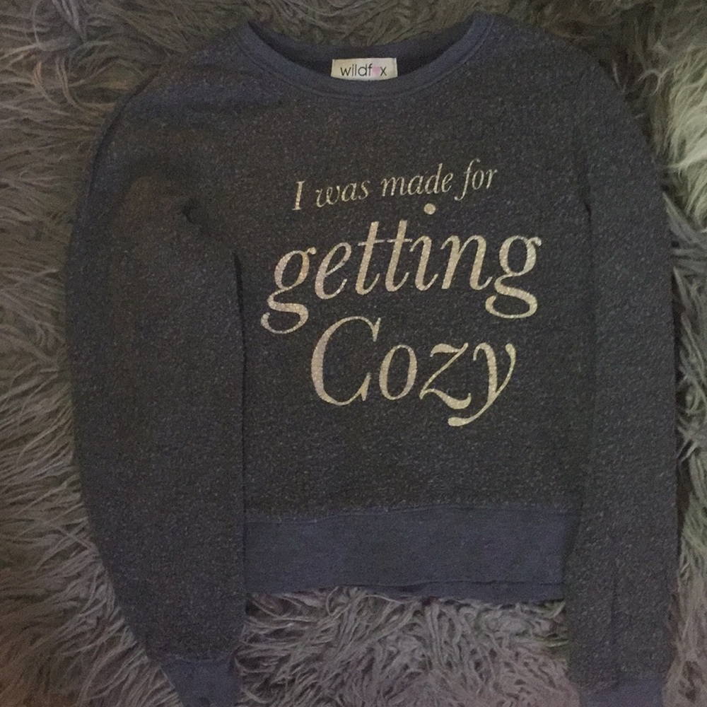 Wild fox kids sweater
